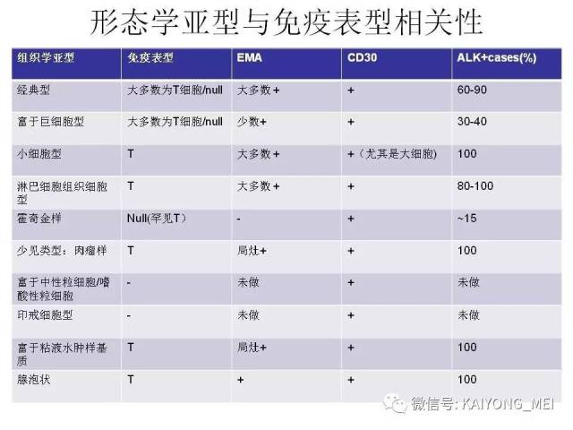 T细胞淋巴瘤病理诊断及进展（一）