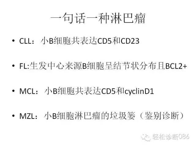 边缘区淋巴瘤（附小B细胞NHL鉴别诊断）