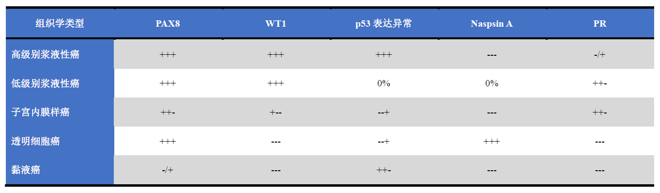 女性生殖道肿瘤WHO知识点更新-干货版（二）