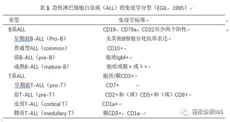 前体淋巴组织肿瘤(2)