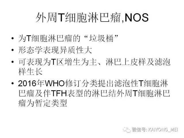 T细胞淋巴瘤病理诊断及进展（二）