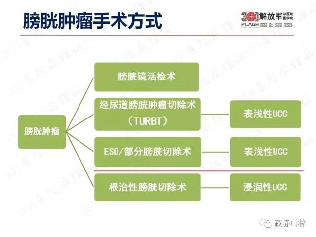 泌尿系统常见肿瘤标本病理报告规范