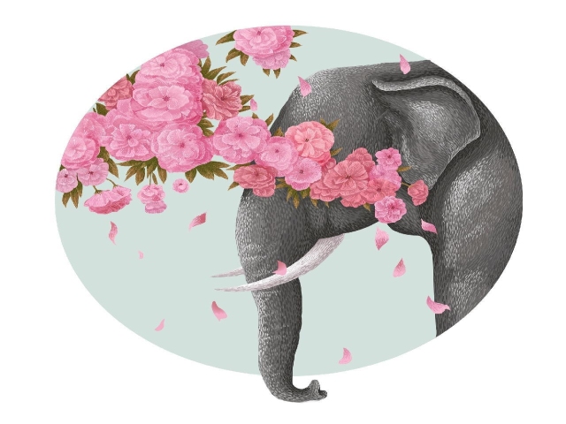 花语