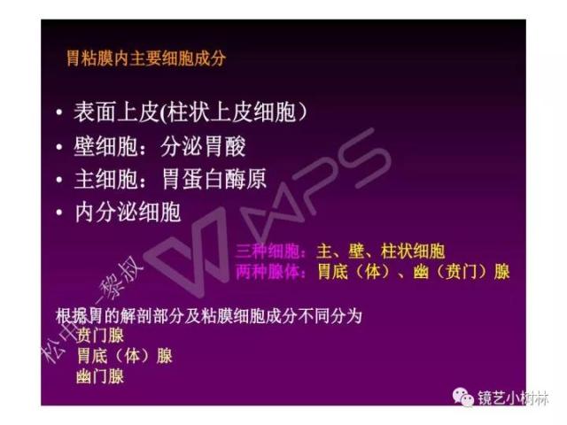 上消化道早癌病理的学习心得体会（附胃牵手癌的病例特点文献学习）