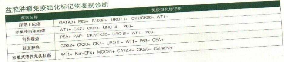 盆腔肿瘤免疫组化标记物鉴别诊断