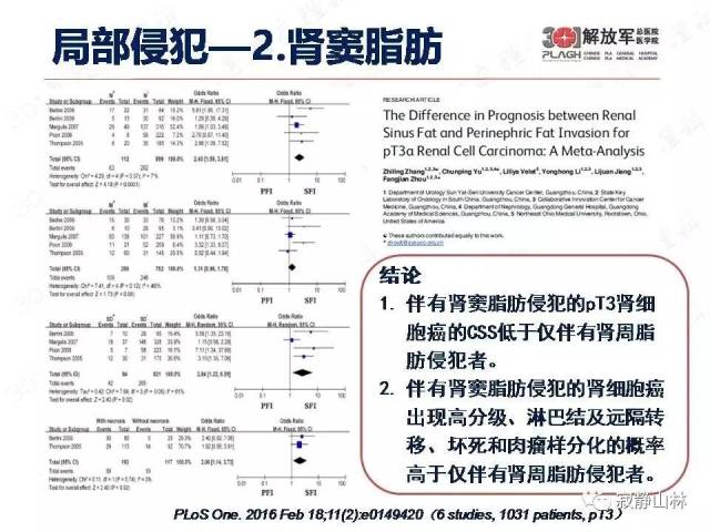 泌尿系统常见肿瘤标本病理报告规范