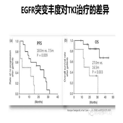 肿瘤精确医疗与分子病理检测