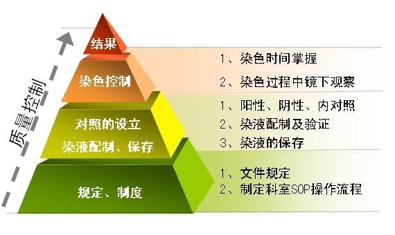 特殊染色室内质量控制