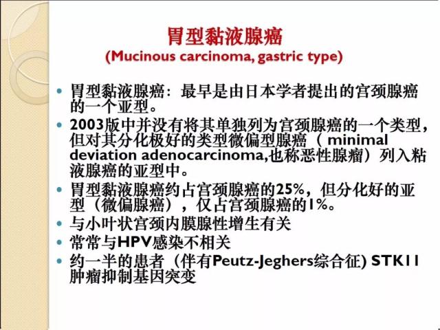非HPV感染相关性宫颈腺性病变