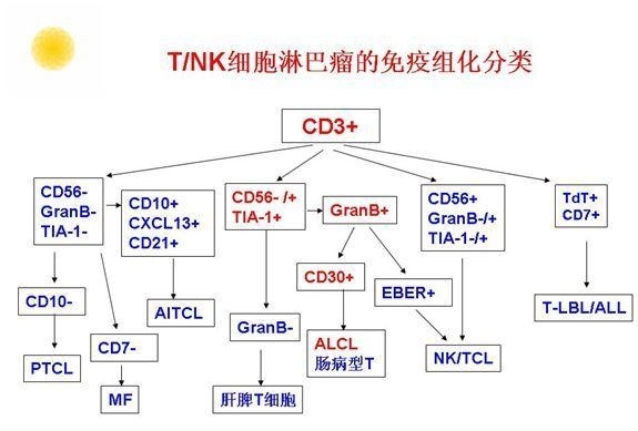 B、T/NK细胞淋巴瘤、霍奇金淋巴瘤的免疫组化分类