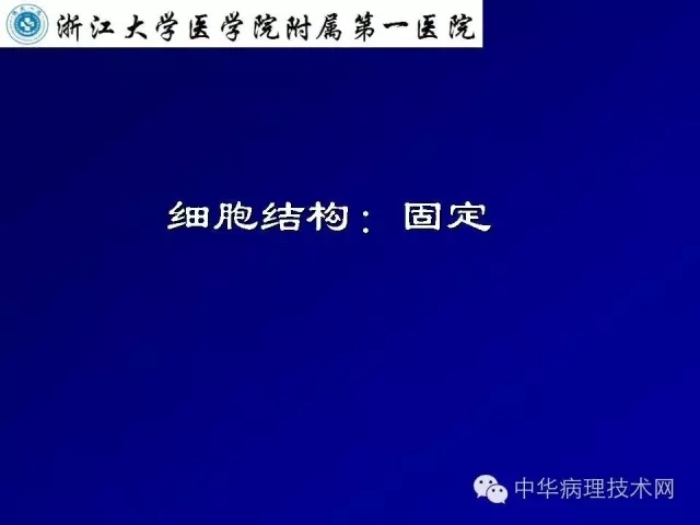影响冰冻切片质量的原因（比赛注意事项）