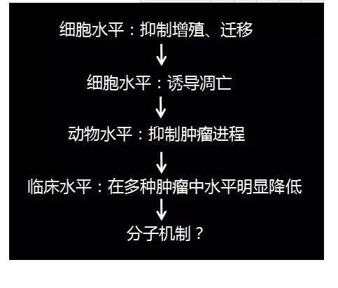 国自然科学问题分析： mRNA也是“拼接”范儿
