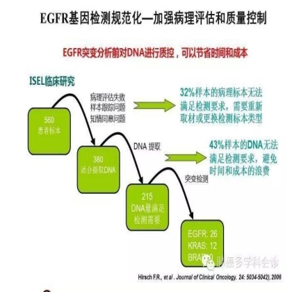 EGFR基因突变检测--基础篇