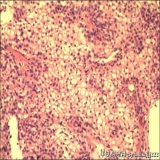 2012-06-06