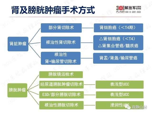 泌尿系统常见肿瘤标本病理报告规范