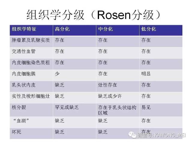乳腺梭形细胞病变的病理诊断及进展（二）