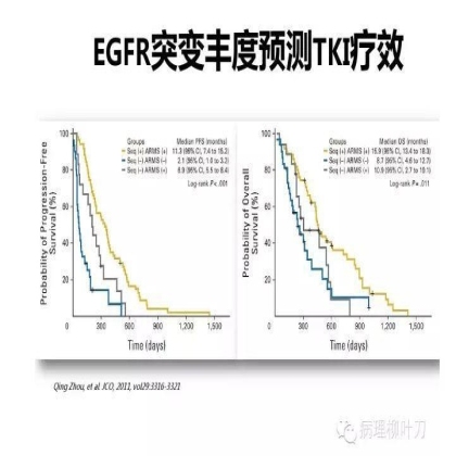 肿瘤精确医疗与分子病理检测