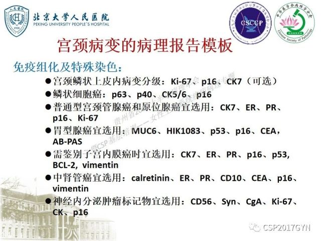 中华病理学会基层培训遵义站讲座（三）——宫颈鳞状上皮病变的病理诊断与鉴别诊断