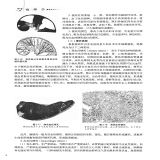 默认相册