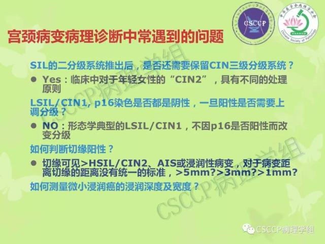 宫颈与子宫病变病理标本取材