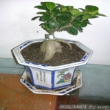 2013-05-11