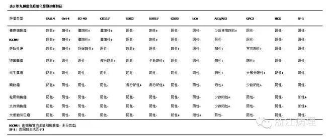免疫组织化学标志物在泌尿生殖系统肿瘤诊断中的应用和进展
