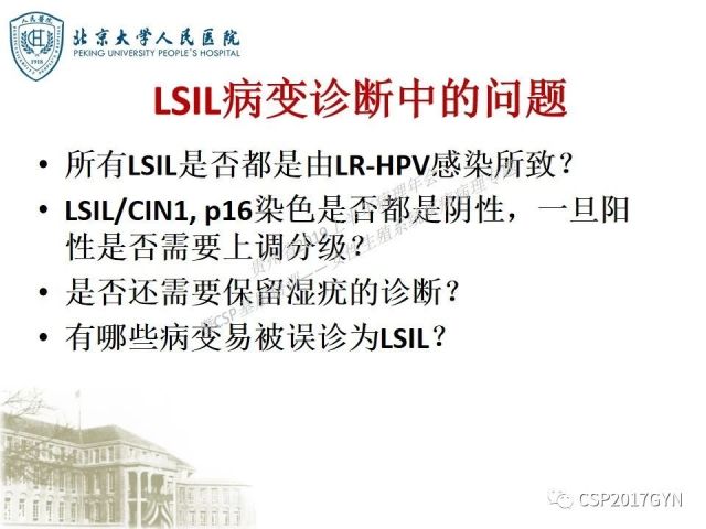 中华病理学会基层培训遵义站讲座（三）——宫颈鳞状上皮病变的病理诊断与鉴别诊断