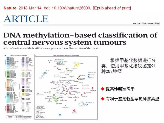 [病理诊断]广东省人民医院李智：胶质瘤的病理诊断 从组织学表型到分子表型