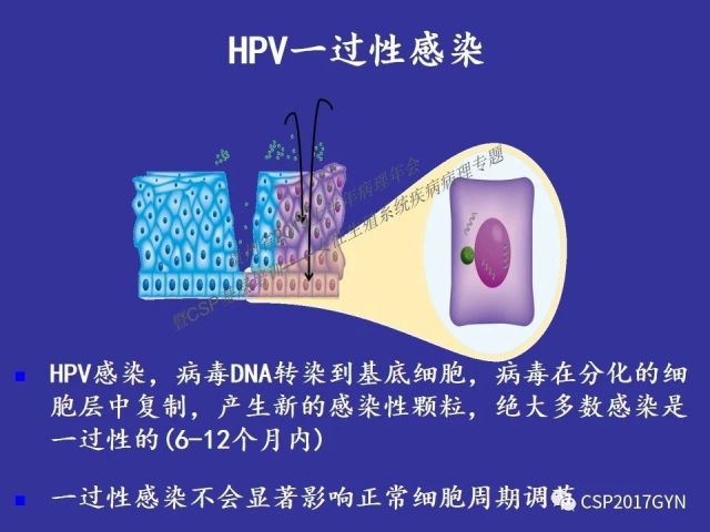 中华病理学会基层培训遵义站讲座（二）——宫颈细胞学诊断中陷阱与筛查进展