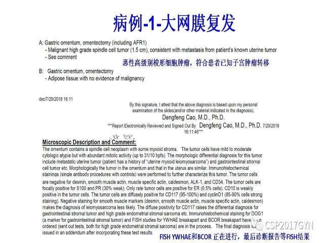 妇科肿瘤病理新进展——子宫间叶肿瘤进展