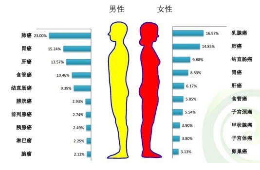 消化道早期癌的“克星”--ESD标本检查