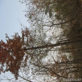 2012-12-10