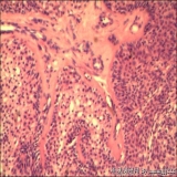 2012-06-06
