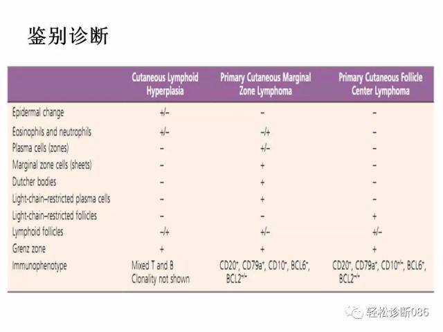 皮肤B细胞淋巴瘤