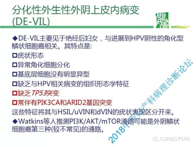 非HPV相关的外阴鳞状细胞肿瘤