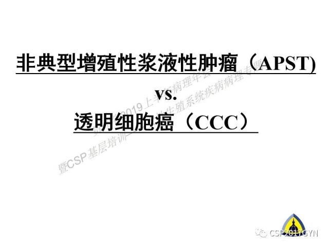 中华病理学会基层培训遵义站讲座（一）——卵巢和输卵管浆液性肿瘤的诊断和鉴别诊断