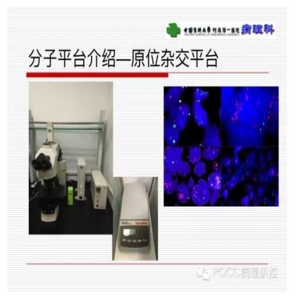 PQCC示范实验室展示——中国医科大学附属第一医院