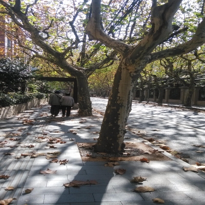 秋日随想