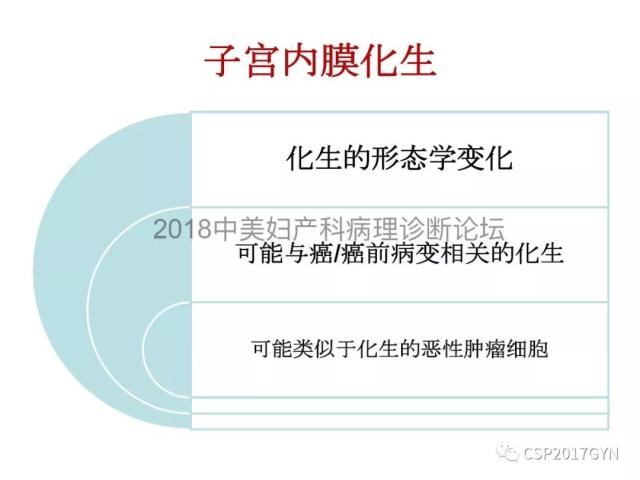 子宫内膜假肿瘤性病变及类似癌样病变