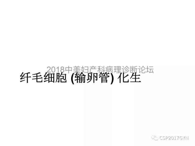 子宫内膜假肿瘤性病变及类似癌样病变