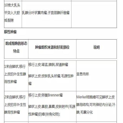 肿瘤病理学分类大全