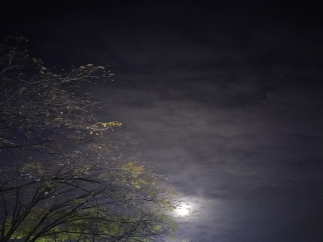 周日上班都忙啥 周日上班都忙啥