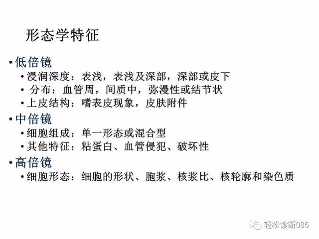 皮肤B细胞淋巴瘤