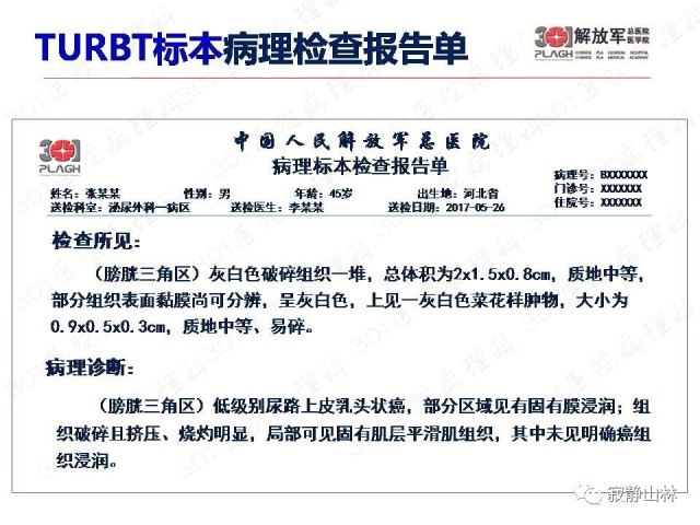 泌尿系统常见肿瘤标本病理报告规范