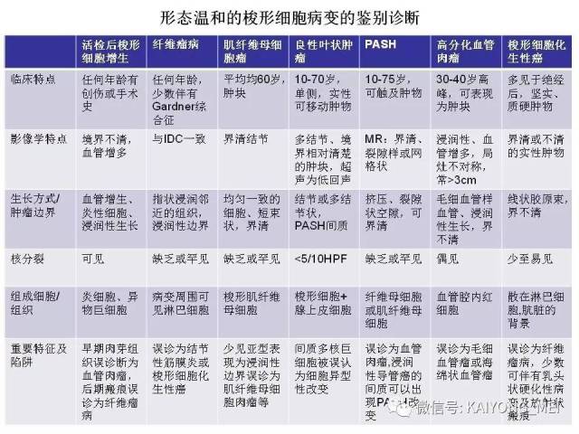 乳腺梭形细胞病变的病理诊断及进展（二）