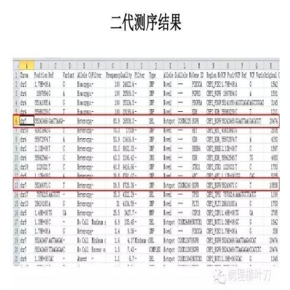 肿瘤精确医疗与分子病理检测
