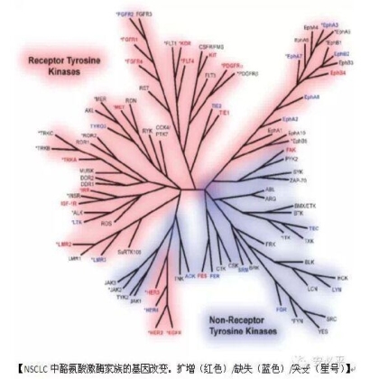 EGFR FISH的预测能力与突变相当——中山大学肿瘤医院数据引起的思考