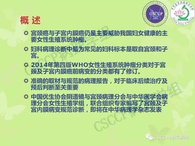 宫颈与子宫病变病理标本取材