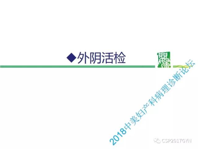 非HPV相关的外阴鳞状细胞肿瘤