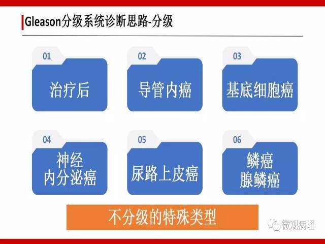 前列腺癌Gleason分级系统的前世今生